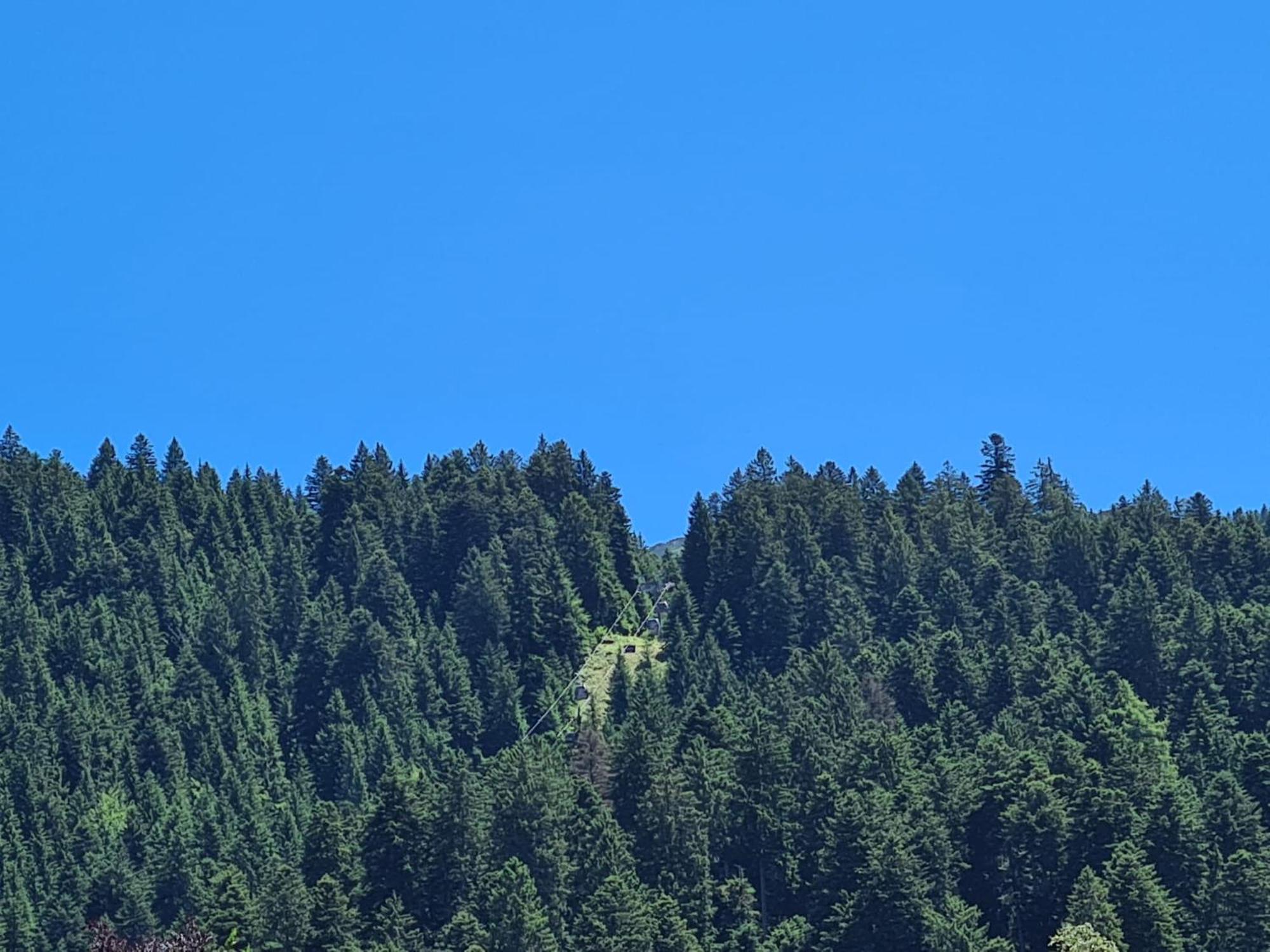 Appartamenti Croz Del Re Andalo Buitenkant foto